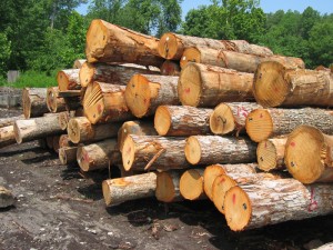 lumber_logs